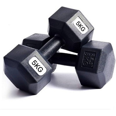 5kg x 2 Haltères Haltère de Remise en Forme